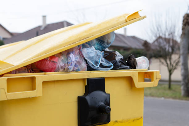 Best Hoarding Cleanup  in Avilla, IN